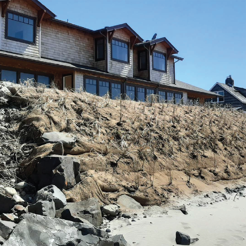 Vegetative Stabilization project in Cannon Beach. Photo By Hailey Bond, 2021