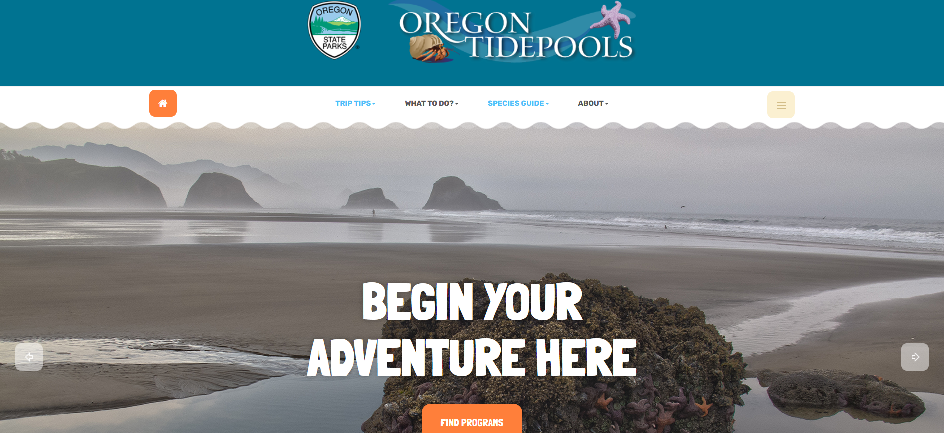Oregon Tidepools website screenshot